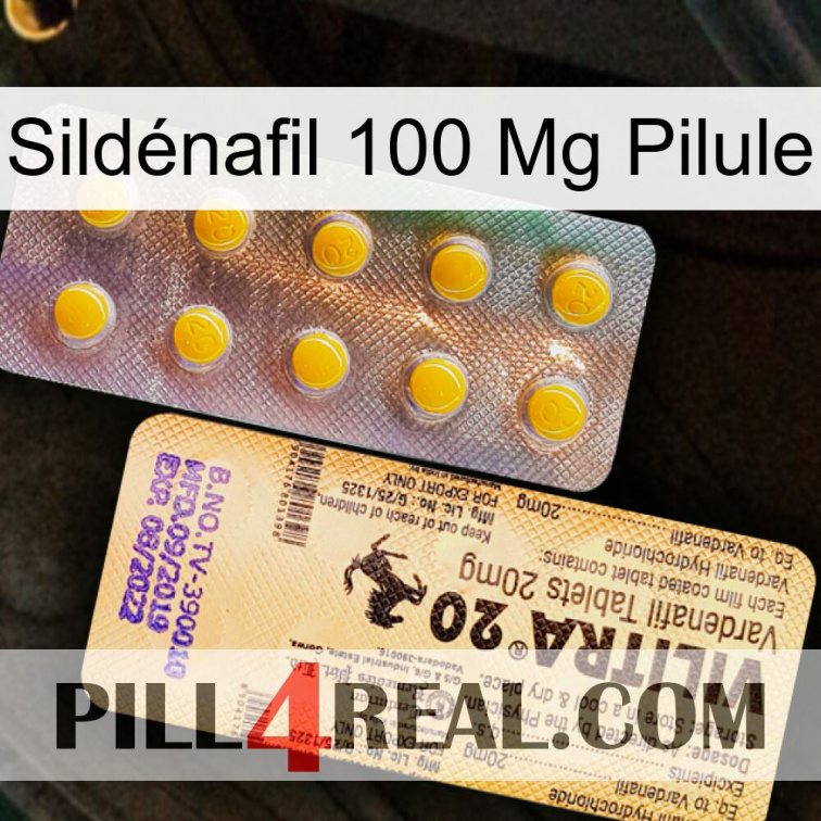 Sildénafil 100 Mg Pilule new06